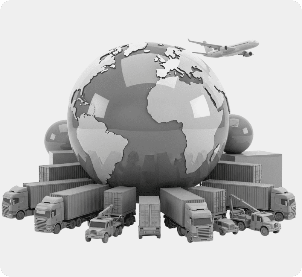 Supply Chain & Distribution
